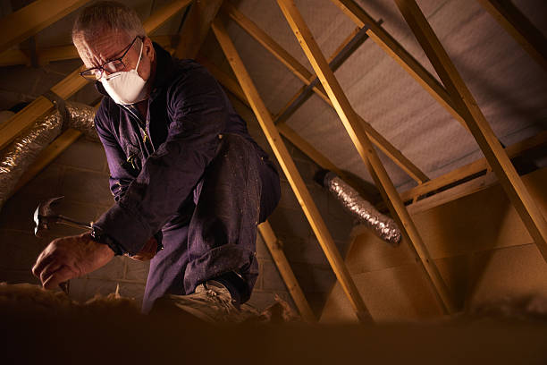 Best Specialty Insulation in Kachina Village, AZ